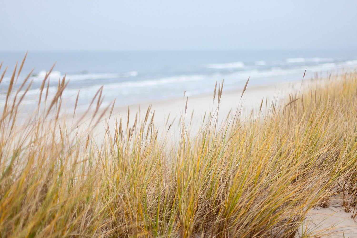 Coastline in the Baltic Sea